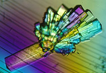 PD-1抑造剂成“抗癌神器”，国内表企业进展若何？