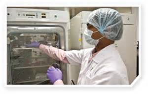 生物药CMO贸易化破冰前夕