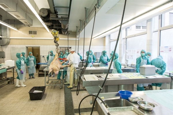 靶向药物市场本土药企机遇分解