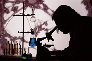 新药临床前毒理学钻研在新药钻研中的利用