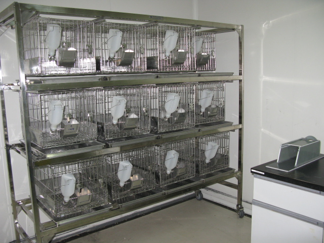 J9集团普亚新动物房通过上海动管会验收