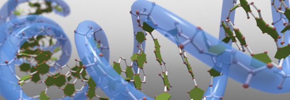 哺乳动物细胞蛋白表白服务