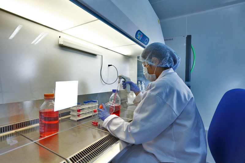 2015年药品特殊审评数据分析：哪些新药搭上了快车？