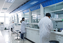 Cancercell：靶向组蛋白甲基酶PRMT1医治急性髓系白血病