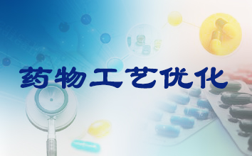造药工艺优化