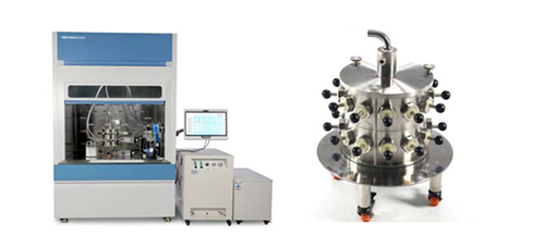 图1 幼动物（22只幼鼠）口鼻吸入露出系统
