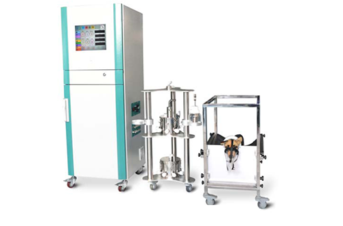 图3 大动物（8只比格犬）口鼻吸入露出系统