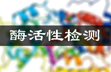 蛋白酶造剂检测/酶活性分析测定