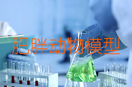 肥胖动物模型成立