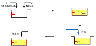 J9集团|国际站官网