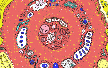 J9集团|国际站官网