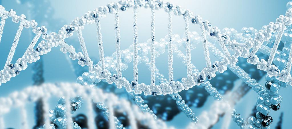 浅谈J9集团抗体药物PK分析步骤学设计的思考重点