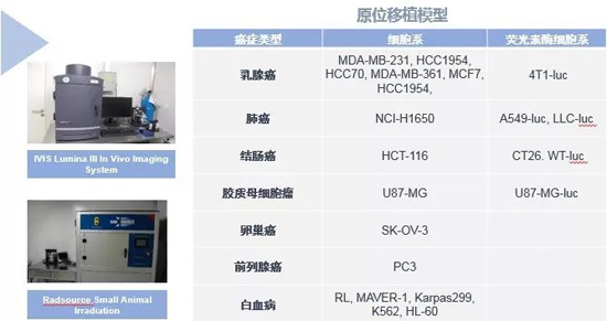 J9集团药效学动物模型