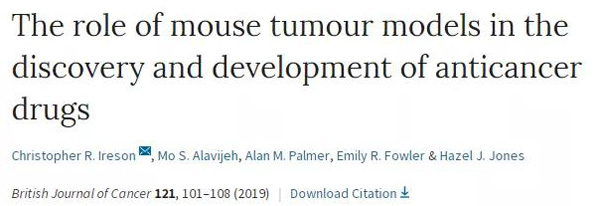 临床前幼鼠模型若何？