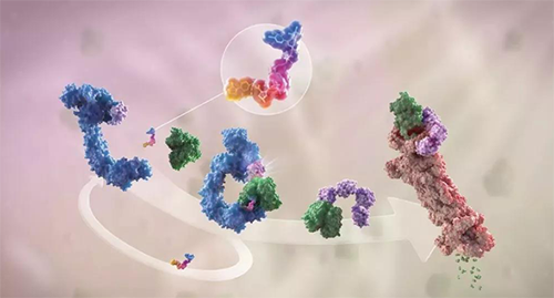 LYTAC出世，与PROTAC并肩作战针对不成成药的靶点