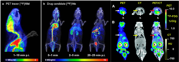 职能与结构结合