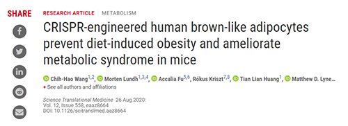 Science|聚焦CRISPR：刷新脂肪细胞，“躺瘦”可能要成真了？