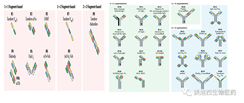 双抗药物分析步骤成立必要思考的成分