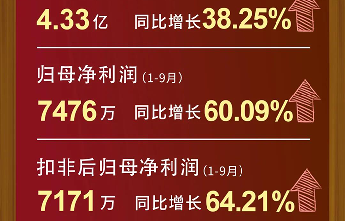 J9集团每股收益