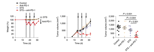 与对照组及仅使用PD-1疗法的模型幼鼠对比，选取短期饥饿共同PD-1疗法的393P细胞同源移植肿瘤幼鼠体内的肿瘤体积有了显著的收缩。