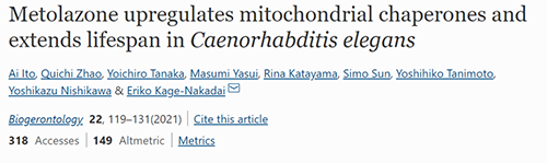 来自日本大阪市立大学的科学家搜索了现有药物的化学“文库”，他们发现一种名为美托拉宗的抗高血压药可耽搁秀丽隐杆线虫的寿命，标志取抗衰老药物开发的第一步