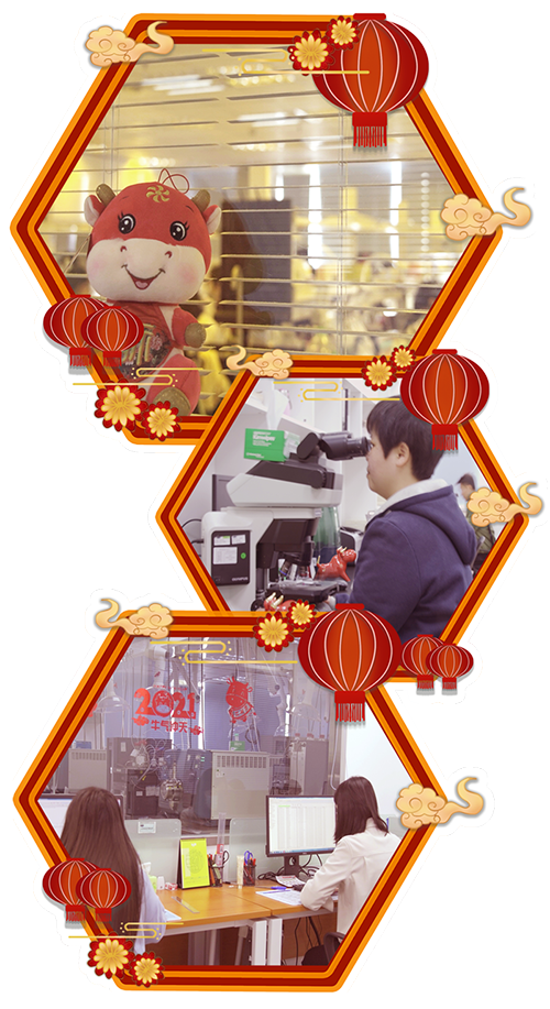 不负春景“加快跑”· 只争朝夕“虎添翼”