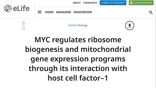 能够“消融”肿瘤的蛋白质，你肯定没有听说过！