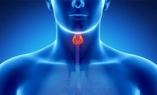 Science快递 | 揭开甲状腺的神秘面纱，开启代谢药物新征程