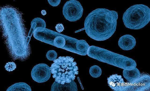 20分钟，大无数细菌都能够繁衍一代 J9集团生物医药