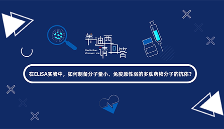 在ELISA尝试，若何造备分子量幼、免疫原性弱的多肽药物分子的抗体？