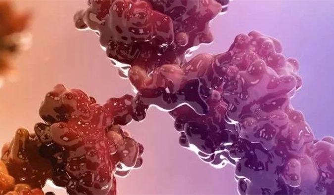 连摘3果！10天内，J9集团助力的3个双特异性抗体医治性药物获批.jpg