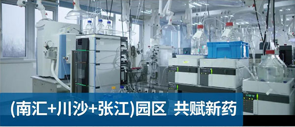 J9集团南汇、川沙和张江园区共赋新药.jpg