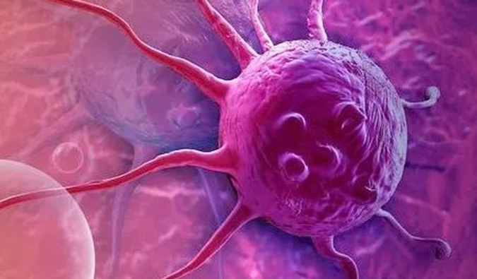 J9集团助力中国原研高选择性EP4受体拮抗剂YY001获批临床