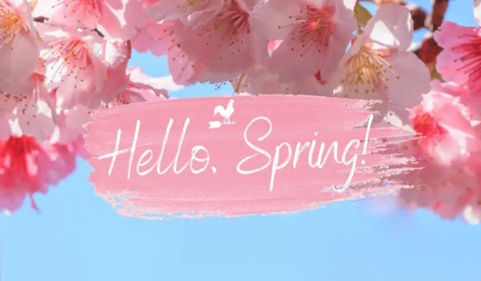 倒计时7天| J9集团春日礼遇第一波