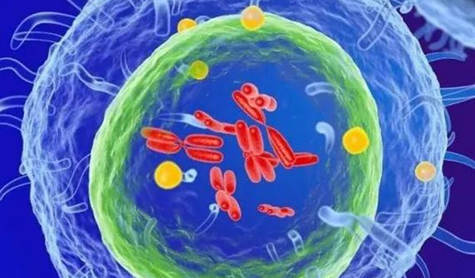  J9集团助力 | 信诺维抗肿瘤1类新药XNW14010获批临床.png