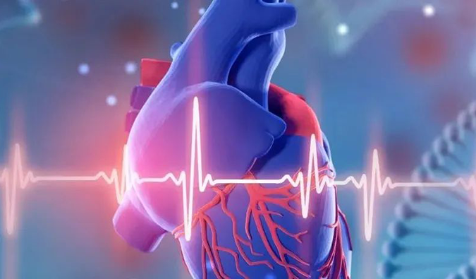 剑指心血管疾病——幼核酸药物(二)