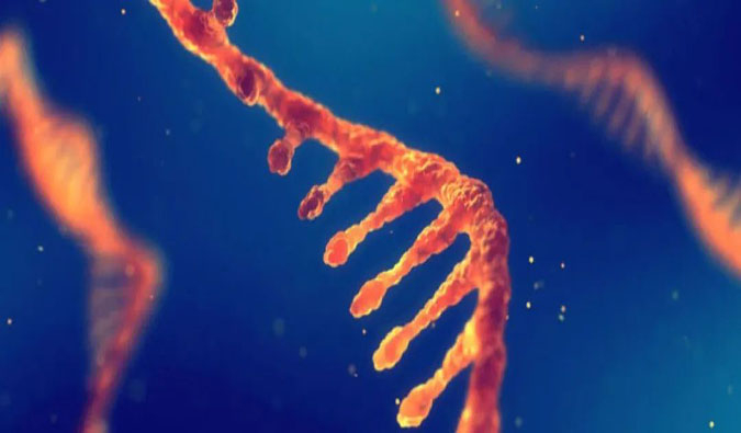 赋能核酸药物疗法，迎接新药研发第三次海潮