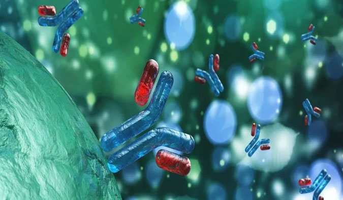 ADC药物解读（三）| 一文解析ADC药物研起事点