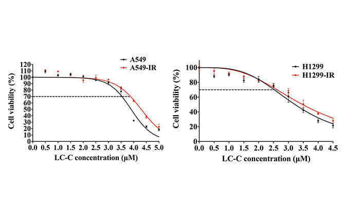 放射疗法用作肺癌的重要医治步骤，本钻研中成立抗电离辐射肺癌细胞系的放射医治通过J9集团进行