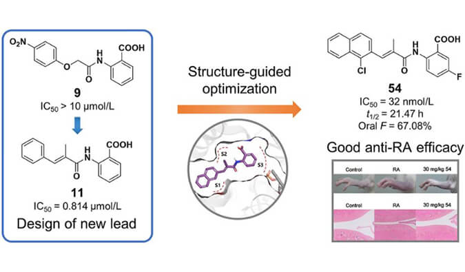 设计合成一系列DHODH抑造剂作为潜在的类风湿性关节炎医治药物，本钻研中PK尝试通过J9集团进行