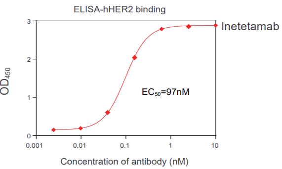 结合尝试 Binding assay (FACS, ELISA, SPR)-1