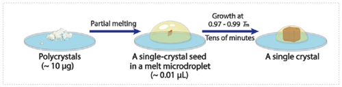 图3-熔体微滴成长单晶.jpg