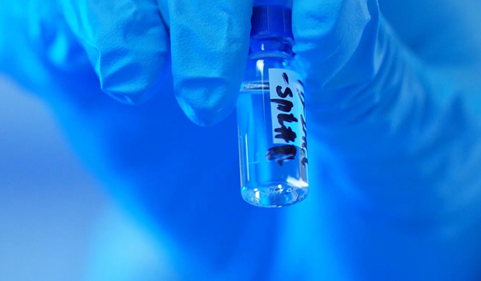 GLP-1“竞快赛”何以夺魁？