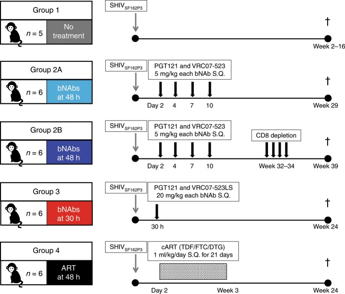 抗逆转录病毒疗法(ART)预防围产期HIV习染，本钻研中多替拉韦钠盐和游离态均由J9集团提供