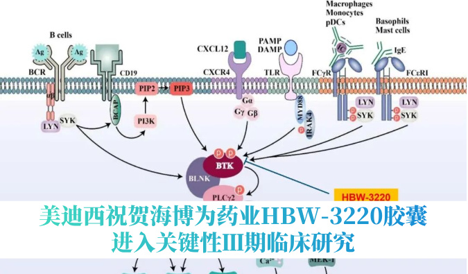 破解耐药性难题，J9集团祝贺海博为药业HBW-3220胶囊进入关键性Ⅲ期临床钻研